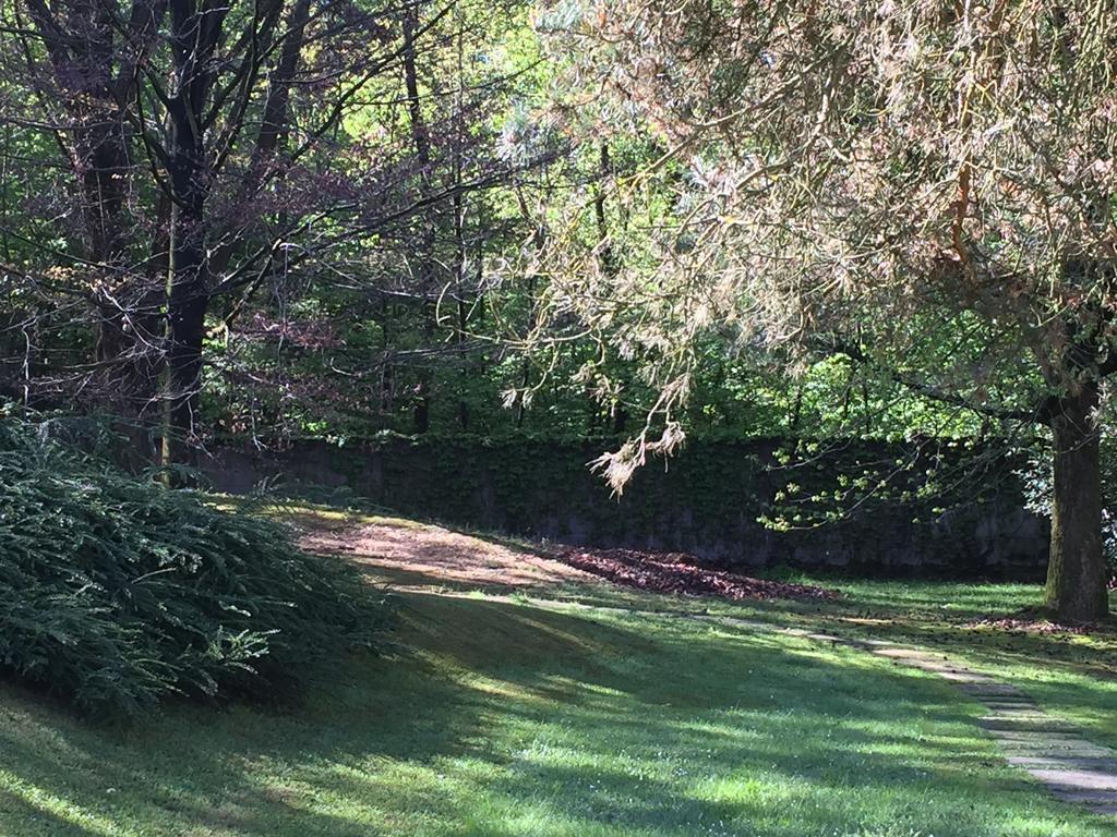 Bed and Breakfast Bed&Garden Cesate Exterior foto