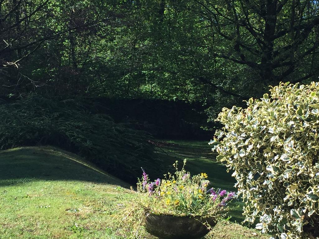 Bed and Breakfast Bed&Garden Cesate Exterior foto
